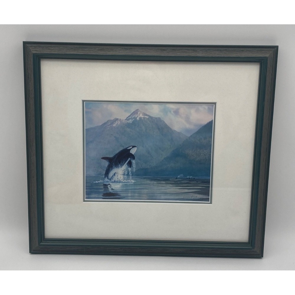 Gordon Henschel Framed Art Print Summer Salt - Robson Bight Orca Whale BC Coast